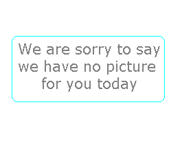 Total Stop Brakes (Pair) Stainless steel trolleys | stainless steel trucks | food quality trolleys | hygenic trolleys | Clean room trolleys